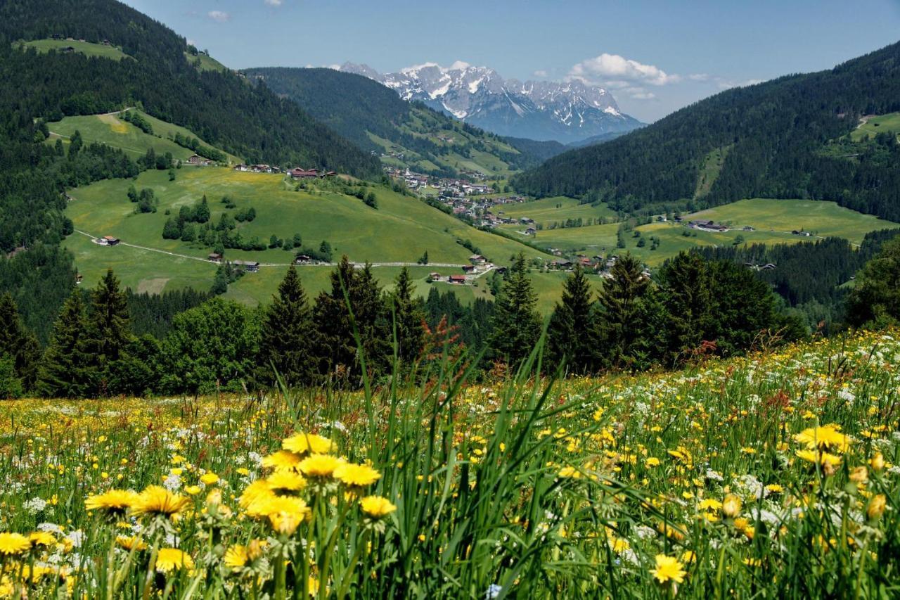 Haus Daniela Hotel Wildschönau Kültér fotó